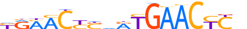 VDR.H13INVITRO.0.PS.A reverse-complement motif logo (VDR gene, VDR_HUMAN protein)