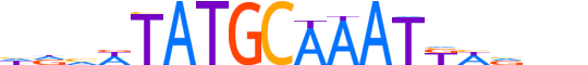 VENTX.H13INVITRO.1.S.C reverse-complement motif logo (VENTX gene, VENTX_HUMAN protein)