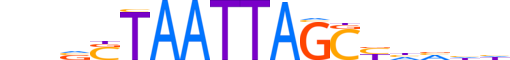 VSX1.H13INVITRO.1.SM.B motif logo (VSX1 gene, VSX1_HUMAN protein)