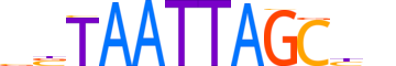 VSX2.H13INVITRO.0.PSM.A motif logo (VSX2 gene, VSX2_HUMAN protein)