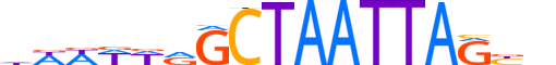 VSX2.H13INVITRO.1.S.B reverse-complement motif logo (VSX2 gene, VSX2_HUMAN protein)