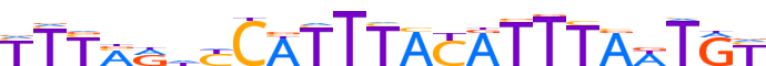 Z354A.H13INVITRO.0.P.D motif logo (ZNF354A gene, Z354A_HUMAN protein)