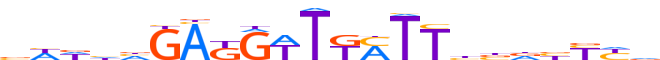 Z705G.H13INVITRO.0.P.D motif logo (ZNF705G gene, Z705G_HUMAN protein)