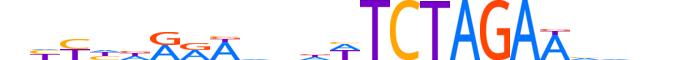 ZBT26.H13INVITRO.1.SM.B reverse-complement motif logo (ZBTB26 gene, ZBT26_HUMAN protein)