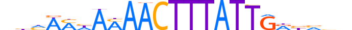 ZBTB40.H13INVITRO.0.PSG.A motif logo (ZBTB40 gene, ZBT40_HUMAN protein)