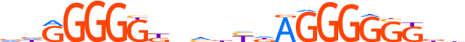 ZBTB41.H13INVITRO.0.PSG.A motif logo (ZBTB41 gene, ZBT41_HUMAN protein)