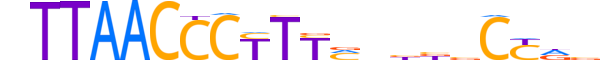 ZBTB47.H13INVITRO.0.PSG.A reverse-complement motif logo (ZBTB47 gene, ZBT47_HUMAN protein)