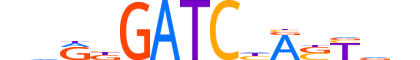 ZBTB5.H13INVITRO.0.SGI.A motif logo (ZBTB5 gene, ZBTB5_HUMAN protein)