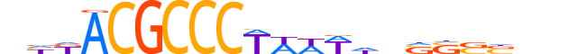 ZBTB8A.H13INVITRO.0.PSGI.A motif logo (ZBTB8A gene, ZBT8A_HUMAN protein)