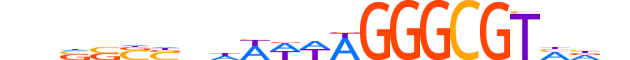 ZBTB8A.H13INVITRO.0.PSGI.A reverse-complement motif logo (ZBTB8A gene, ZBT8A_HUMAN protein)