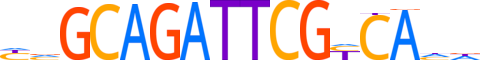 ZFAT.H13INVITRO.0.PSGI.A motif logo (ZFAT gene, ZFAT_HUMAN protein)