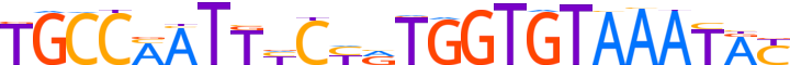 ZN112.H13INVITRO.0.P.D motif logo (ZNF112 gene, ZN112_HUMAN protein)