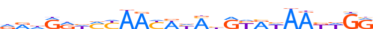 ZN133.H13INVITRO.0.P.D motif logo (ZNF133 gene, ZN133_HUMAN protein)