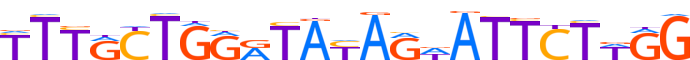 ZN136.H13INVITRO.0.P.D motif logo (ZNF136 gene, ZN136_HUMAN protein)