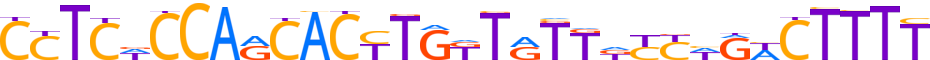 ZN184.H13INVITRO.0.P.D motif logo (ZNF184 gene, ZN184_HUMAN protein)