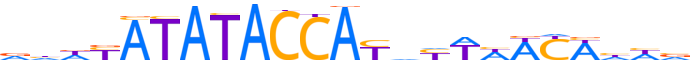 ZN211.H13INVITRO.1.P.D reverse-complement motif logo (ZNF211 gene, ZN211_HUMAN protein)