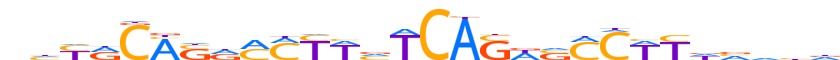 ZN239.H13INVITRO.0.P.D motif logo (ZNF239 gene, ZN239_HUMAN protein)