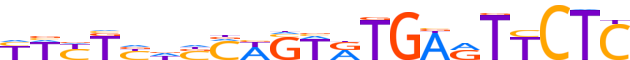 ZN274.H13INVITRO.1.P.B reverse-complement motif logo (ZNF274 gene, ZN274_HUMAN protein)