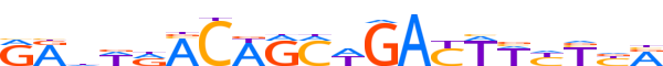 ZN317.H13INVITRO.0.P.D motif logo (ZNF317 gene, ZN317_HUMAN protein)