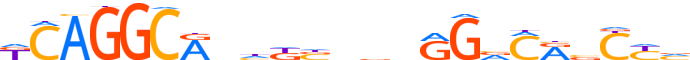 ZN335.H13INVITRO.0.P.D reverse-complement motif logo (ZNF335 gene, ZN335_HUMAN protein)