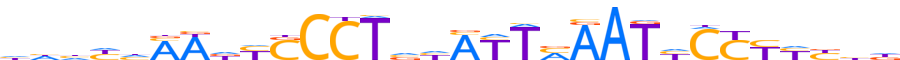 ZN33B.H13INVITRO.0.P.D reverse-complement motif logo (ZNF33B gene, ZN33B_HUMAN protein)