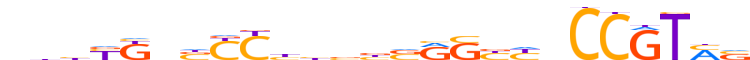 ZN407.H13INVITRO.0.P.D motif logo (ZNF407 gene, ZN407_HUMAN protein)