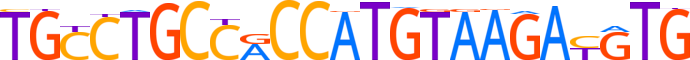 ZN430.H13INVITRO.0.P.D reverse-complement motif logo (ZNF430 gene, ZN430_HUMAN protein)