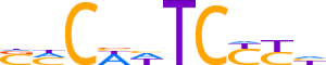 ZN480.H13INVITRO.1.P.D motif logo (ZNF480 gene, ZN480_HUMAN protein)