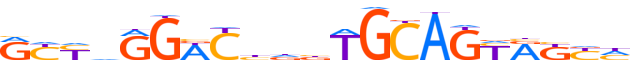 ZN502.H13INVITRO.0.P.D motif logo (ZNF502 gene, ZN502_HUMAN protein)