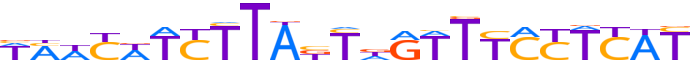 ZN510.H13INVITRO.0.P.D motif logo (ZNF510 gene, ZN510_HUMAN protein)