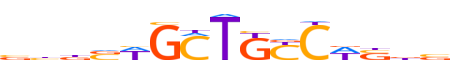 ZN563.H13INVITRO.1.P.D reverse-complement motif logo (ZNF563 gene, ZN563_HUMAN protein)