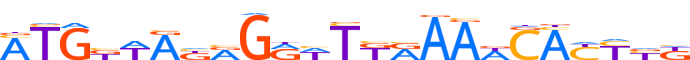 ZN595.H13INVITRO.0.P.D motif logo (ZNF595 gene, ZN595_HUMAN protein)