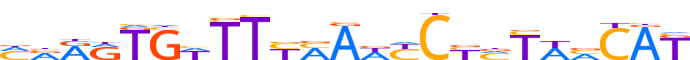 ZN595.H13INVITRO.0.P.D reverse-complement motif logo (ZNF595 gene, ZN595_HUMAN protein)