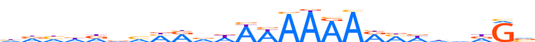 ZN613.H13INVITRO.0.P.D reverse-complement motif logo (ZNF613 gene, ZN613_HUMAN protein)