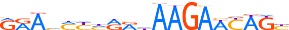 ZN677.H13INVITRO.0.P.D reverse-complement motif logo (ZNF677 gene, ZN677_HUMAN protein)