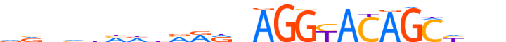 ZN708.H13INVITRO.0.P.D motif logo (ZNF708 gene, ZN708_HUMAN protein)