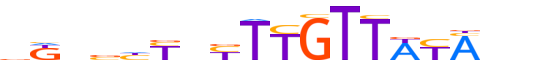 ZNF12.H13INVITRO.2.S.C reverse-complement motif logo (ZNF12 gene, ZNF12_HUMAN protein)