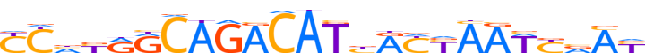 ZNF23.H13INVITRO.0.P.D motif logo (ZNF23 gene, ZNF23_HUMAN protein)