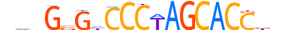 ZNF275.H13INVITRO.0.SG.A reverse-complement motif logo (ZNF275 gene, ZN275_HUMAN protein)