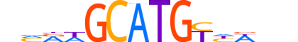ZNF292.H13INVITRO.0.PSG.A motif logo (ZNF292 gene, ZN292_HUMAN protein)