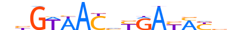 ZNF32.H13INVITRO.0.SM.B motif logo (ZNF32 gene, ZNF32_HUMAN protein)