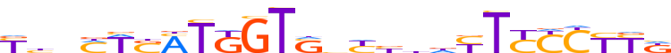 ZNF41.H13INVITRO.0.P.D reverse-complement motif logo (ZNF41 gene, ZNF41_HUMAN protein)