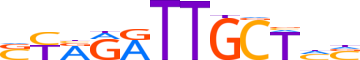 ZNF43.H13INVITRO.0.PSGI.A motif logo (ZNF43 gene, ZNF43_HUMAN protein)