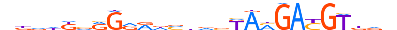 ZNF510.H13INVITRO.0.PSG.A motif logo (ZNF510 gene, ZN510_HUMAN protein)