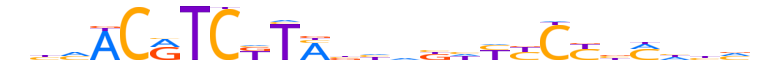 ZNF510.H13INVITRO.0.PSG.A reverse-complement motif logo (ZNF510 gene, ZN510_HUMAN protein)