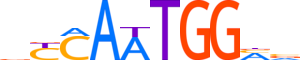 ZNF516.H13INVITRO.0.S.C motif logo (ZNF516 gene, ZN516_HUMAN protein)