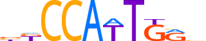 ZNF516.H13INVITRO.0.S.C reverse-complement motif logo (ZNF516 gene, ZN516_HUMAN protein)