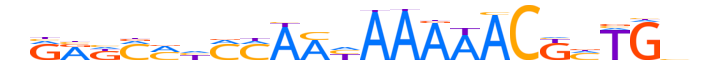 ZNF551.H13INVITRO.0.PSG.A motif logo (ZNF551 gene, ZN551_HUMAN protein)