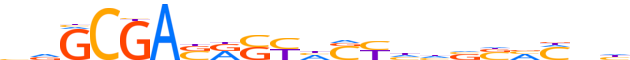 ZNF676.H13INVITRO.0.PSG.A motif logo (ZNF676 gene, ZN676_HUMAN protein)