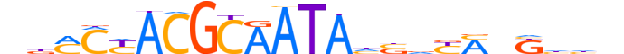 ZNF689.H13INVITRO.0.PSG.A motif logo (ZNF689 gene, ZN689_HUMAN protein)